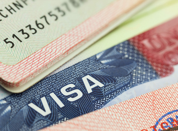 Visa Processing Services